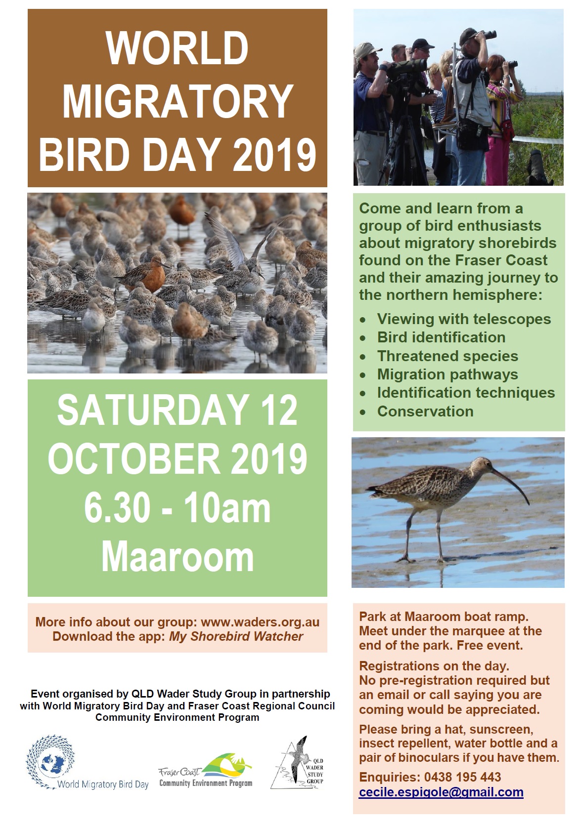 World Migratory Bird Day On The Fraser Coast World Migratory Bird Day